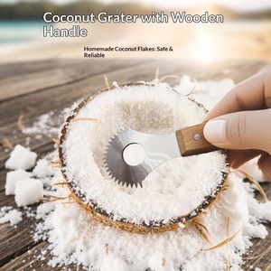 <span class=keywords><strong>Râpe</strong></span> <span class=keywords><strong>à</strong></span> noix de coco manuelle en acier inoxydable, outil domestique efficace pour racler et cuire la chair de noix de coco de Hainan, idéal pour la préparation de noix de coco râpée - Product Image 1