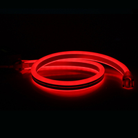 Bande lumineuse intérieure et extérieure décoration de bâtiment 24V/120V/230V LED corde lumière RGB 5050 PWM DMX Duplex 11x24mm Double côtés Neon Flex