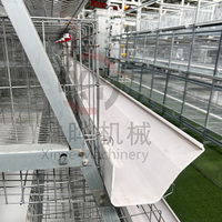 Nouvelle cage à poulets en acier galvanisé à chaud pour l'élevage avicole automatique, type A, en batterie, à vendre