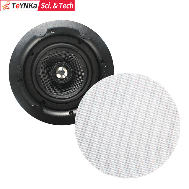 25W Dual-Frequency Coaxial Hi-Fi Ceiling Speaker Immersive Home Theater Sound for Family Entertainment
