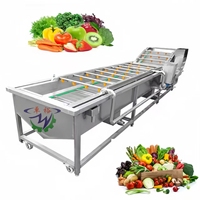 Hoge kwaliteit sinaasappel citroen aardbei fruitreinigingsapparatuur bubbelwasmachine met beste prijs