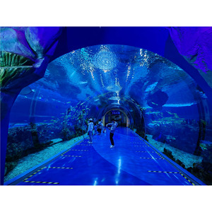 โครงการตู้ปลาใต้น้ำอุโมงค์ใต้น้ำพลาสติกขนาดใหญ่ที่เป็นมิตรกับสิ่งแวดล้อมดีไซน์และก่อสร้าง - Product Image 1
