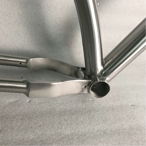 ลดราคาพิเศษ โครงจักรยานไทเทเนียมแบบขับเคลื่อนด้วยสายพาน Oem 29 Plus และระบบ Rohloff Sliding Dropouts - Product Image 3