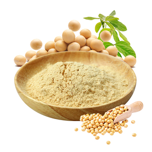 Soy Lecithin powder manufacturer Soy Lecithin powder manufacturer