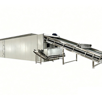 Hoge-prestatie fruit- en groentedroger, stabiele groentedroogmachine voor kleine verwerkingsbedrijven