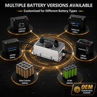 Chargeur de batterie au lithium personnalisé étanche IP67 12V 24V 36V 48V Lifepo4