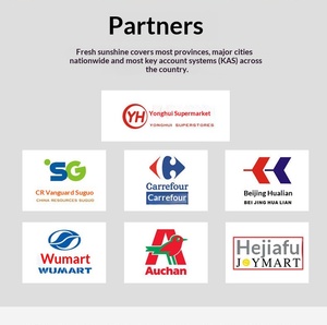 Biscuit fourré sucré <span class=keywords><strong>au</strong></span> <span class=keywords><strong>yaourt</strong></span>, aux fruits et <span class=keywords><strong>au</strong></span> fromage 285g - Product Image 4