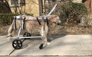 चीन निर्मित 2 4 व्हील पालतू व्हीलचेयर सेल्फ-लॉकिंग बिग डॉग कार्ट, पीछे के पैरों के लिए सर्वश्रेष्ठ बड़े कुत्ते की रियर व्हीलचेयर - Product Image 6