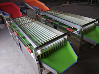 China Leverancier Roestvrij Staal Sorteerder Hete Verkoop Aardbei Olijfpruim Bosbessen Kersen Fruit Sortering Sortering Machine