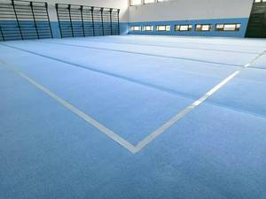 Colchoneta enrollable <span class=keywords><strong>Triflex</strong></span> 12 x 2 m, 35 mm, colchoneta de ejercicio azul claro, tipo enrollable, tipo sin cortar, 12m*2m, en venta - Product Image 4