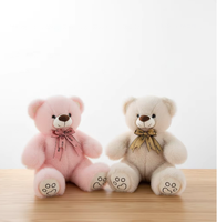 Peaux d'ours en peluche non rembourrées, jouets en peau véritable, peaux d'animaux non rembourrées