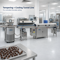 Machine à tempérer le chocolat 25/60/100L |   Cuve de fusion SS304 |   Contrôle numérique de la température |   pour les petites et moyennes usines