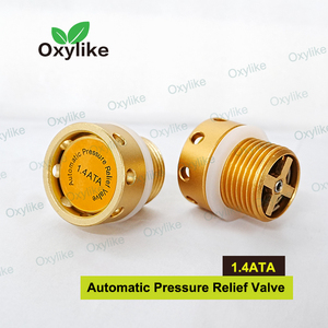 2026 Nueva Válvula de Alivio de Presión Automática de Alta Calidad para Electrodomésticos, Piezas para Cámara de Oxígeno Hiperbárico HBOT - Product Image 5