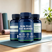 Capsules de perte de poids à marque blanche, à base de plantes, personnalisées, avec extrait d'herbes naturelles, antioxydant, brûleur de graisse, gestion de l'énergie