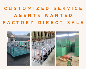 Direttamente dal Produttore: Recinto per Gestanti e Attrezzature per l'Allevamento di Suini - Product Image 4