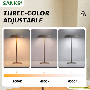 Sản Phẩm Mới Trang Trí Hiện Đại Nhà Phòng Ngủ Phòng Khách Đọc Sách Bàn Ánh Sáng 3W 5V Có Thể Sạc Lại Bảng Đèn - Product Image 3