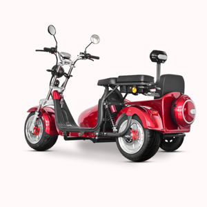 Sidecar 2026 Scooter Eléctrico con Llantas Anchas, Chopper Eléctrico de 3000W, Bicicleta Eléctrica Citycoco con Sidecar, Bicicleta con Sidecar Motorizado - Product Image 6