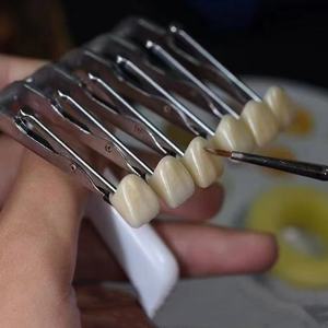 <span class=keywords><strong>Ceramista</strong></span> esagonale morsetti a sei denti per vetri, lotto di porcellana ausiliari strumento di laboratorio tecnico odontotecnico - Product Image 3