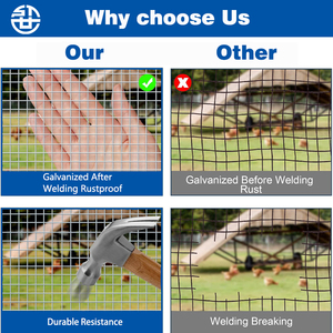 2025 Chất lượng cao mạ kẽm nhúng nóng 50M lưới thép hàn cho hàng rào lưới thép cuộn - Product Image 4