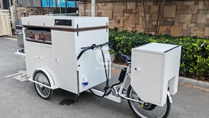 Tricycle à glaces mobile pour moto, à énergie solaire, poussé à la main, chariot à glaces sur vélo, modèle très demandé d'Etodevice - Product Image 5