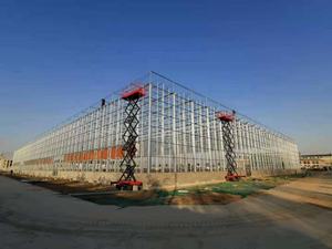 Sistema di Vendita Calda Multi-Span Serra/Serra per Le Verdure/Serra Agricola - Product Image 6