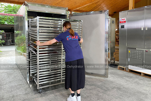 300 kg bơm nhiệt Máy sấy Moringa lá bột dehydrator máy cho Moringa lá trái cây và rau quả - Product Image 5