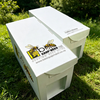 Ruche Nuculaire en Plastique Ondulé à 5 Cadres, Légère, en PP, pour l'Élevage des Abeilles et la Reproduction des Nuées d'Abeilles