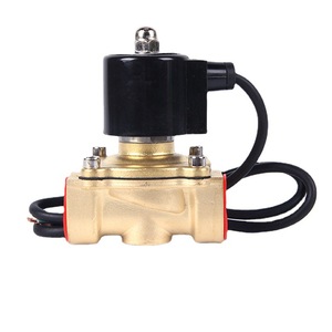 Vannes solénoïdes en laiton étanches 2W-250-25 Vannes de commande filetées sous-marines pour l'eau, le gaz et l'huile - Product Image 3