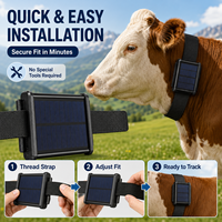 Rastreador GPS Solar para Ganado de 20000mAh Directo de Fábrica con Integración de API de Plataforma Personalizada para Animales Grandes