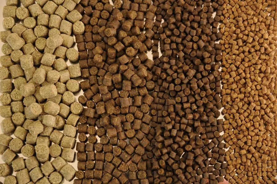 Dog Dry Pet Food Manufacture Machine Floating Fish Feed Food Processing Extruder Sales