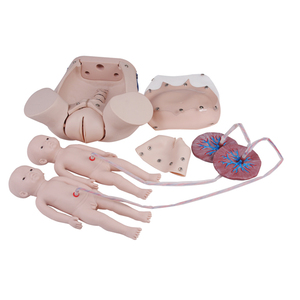 Mô hình trình diễn giao hàng - Product Image 1