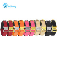Collier pour chien en nylon rembourré en néoprène réglable et résistant avec boucle en métal doré