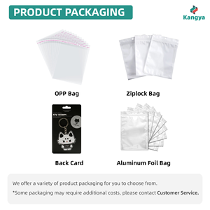 Nhựa <span class=keywords><strong>Mini</strong></span> <span class=keywords><strong>CD</strong></span> vỉ trường hợp Keychain cá nhân âm nhạc Album vòng chìa khóa - Product Image 6