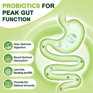 Las mejores cápsulas de creatina para mejorar el rendimiento y la salud muscular Servicio OEM de 120 unidades - Product Image 5