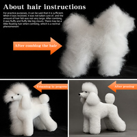 Modelo de esqueleto completo de perro Poodle estándar de poliéster para práctica de estética canina, simulación de pelaje, para estudiante de peluquería canina, gris, sencillo