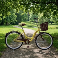 Sepeda Kota Wanita Vintage 26 Inch Grosir dengan Keranjang Rotan, Sepeda Cruiser Retro Step-Through untuk Wanita, Sepeda MTB