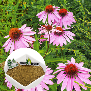 Polvo de extracto de equinácea antioxidante de hierba de Vida Verde, polifenoles 4% UV, polvo de extracto de equinácea purpurea - Product Image 2
