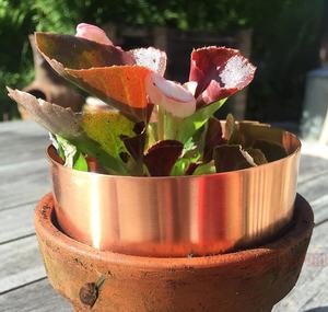 Anillo <span class=keywords><strong>de</strong></span> banda <span class=keywords><strong>de</strong></span> protección vegetal orgánica para repeler babosas, trampa para caracoles, Control <span class=keywords><strong>de</strong></span> plagas, anillo <span class=keywords><strong>de</strong></span> cobre a prueba <span class=keywords><strong>de</strong></span> babosas - Product Image 6