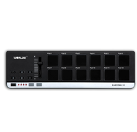 WORLDE Mini II Portable USB EASYPAD.12(MIDI Controller) Portable Musical Instrument Control