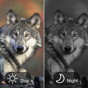 Z555 pro 40MP Multi-langues 5000mAh Zoom 8X Enregistrement vidéo étanche Chasse Vision nocturne infrarouge numérique - Product Image 5