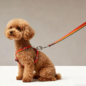 高級デザイナーブランドの本革製犬猫用首輪、リード、ハーネスセット、犬用ハーネス、リード、ペット用品 - Product Image 2