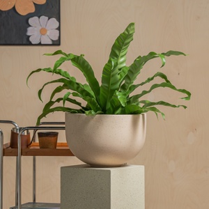 Grandi vasi per interni ed esterni <span class=keywords><strong>in</strong></span> fibra di cemento <span class=keywords><strong>in</strong></span> argilla con foro di drenaggio per la casa e <span class=keywords><strong>il</strong></span> <span class=keywords><strong>giardino</strong></span> di fiori - Product Image 3