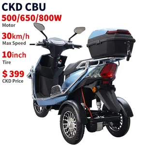 دراجة ثلاثية العجلات للاعاقة الكهربائية CKD CBU 10 بوصة سرعة 500/650/800 وات 30 كم/ساعة سعر الجملة سكوتر كهربائي دراجة ثلاثية العجلات