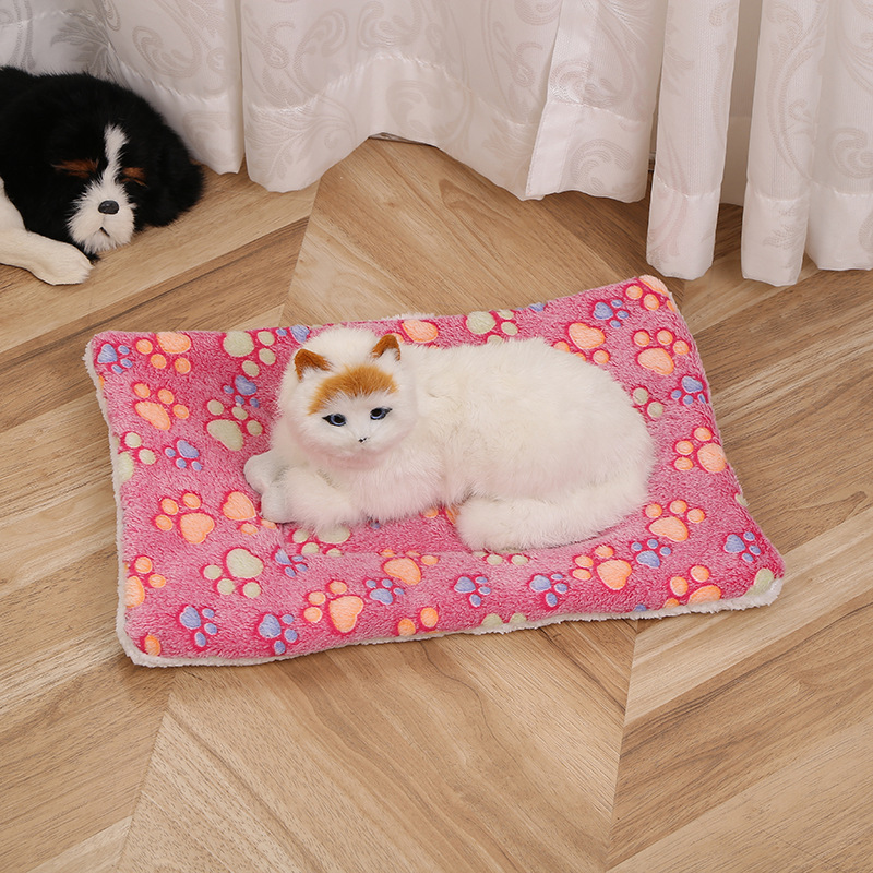 Patte de rose