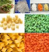 Groente En Fruit Kubus Snijmachine Papaja Jackfruit Radijs Ananas Tomaat Snijmachine