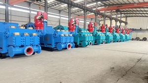 Pompa per fango F300 durevole per impianti di perforazione e estrazione di uranio - Product Image 5