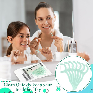Wholesale Mint Flavor Biodegradable Eco Friendly Tooth <b>Sticks</b> <b>Flosser</b> Toothpicks Dental Floss Pick - Product Image 4