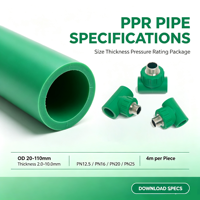 Tuyaux et raccords PPR 1/2 3/4'' Matériaux de plomberie en plastique Adaptateur en T égal en PPR Raccords de tuyauterie PPR