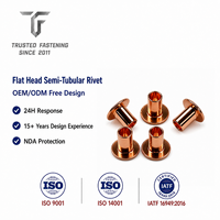 Rivets semi-tubulaires à tête plate personnalisés TianFang pour prototypes d'accessoires de vélo, finition polie en titane, approvisionnement traçable