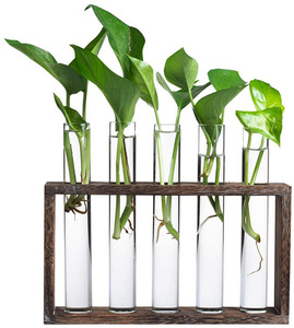 Soporte de Madera para Macetas de Tubo de Ensayo, Estación de Propagación, Florero Cilíndrico, Terrario de Jardín, Decoración de Pared - Product Image 4